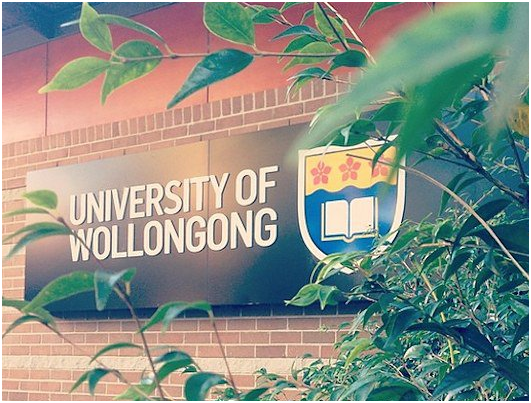 伍倫貢大學1